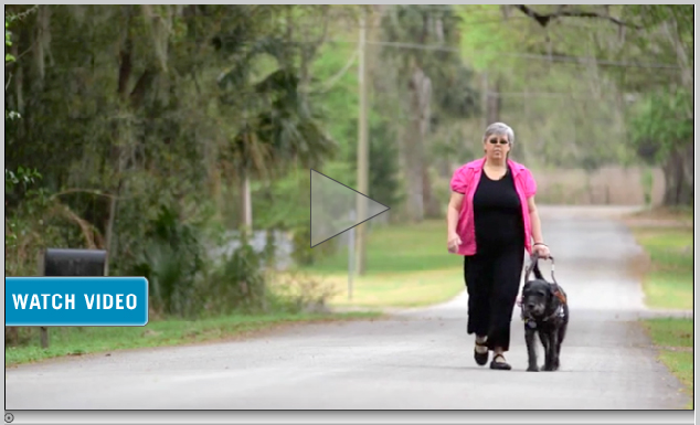 prudential_structures_video_1